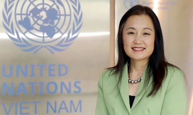 联合国人口基金驻越首席代表：越南在计划生育方面取得诸多成就 hinh anh 1