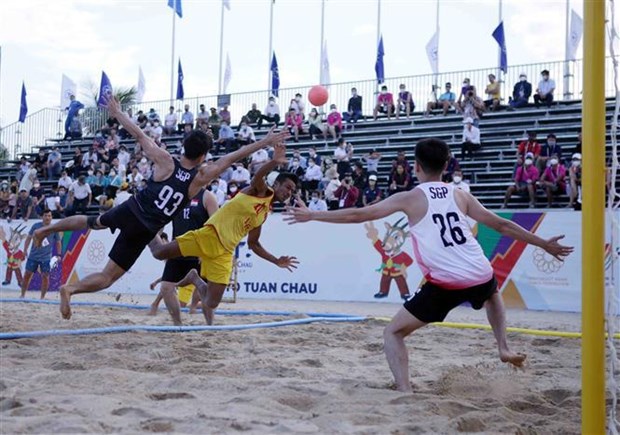 第31届东运会：越南男子沙滩手球队取得开门红 hinh anh 1