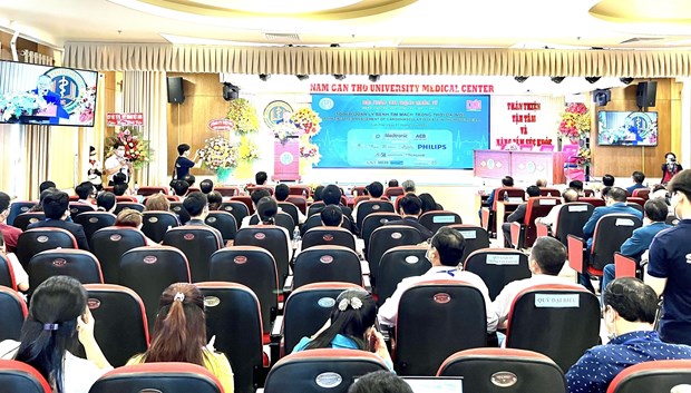 “优化新时代心血管疾病管理工作”的国际心脏研讨会在芹苴市举行 hinh anh 1