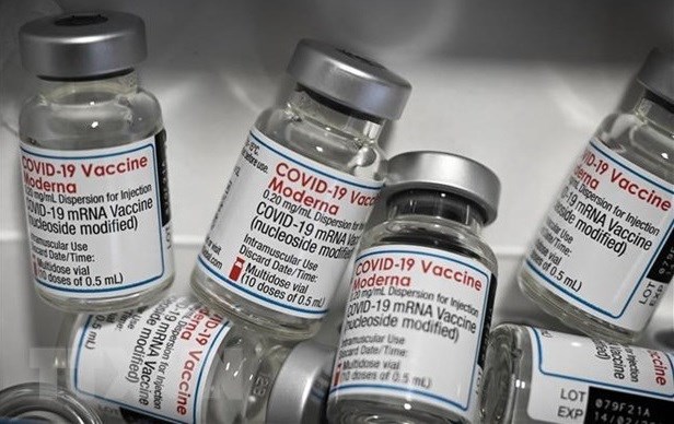 越南接受720 万剂Moderna新冠疫苗用于5 至 12 岁儿童接种 hinh anh 1