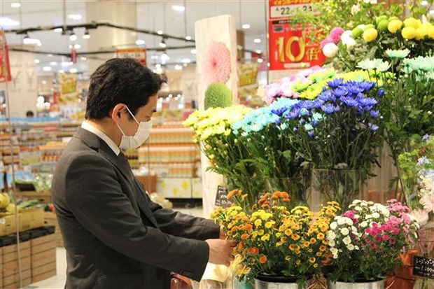 越南花卉开始在日本市场站稳脚跟 hinh anh 2