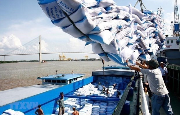 《越南与欧盟自由贸易协定》推动越南大米对欧盟出口增长 hinh anh 1