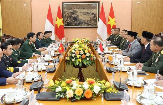 印尼国防部长普拉博沃·苏比安托对越南进行正式访问 hinh anh 2