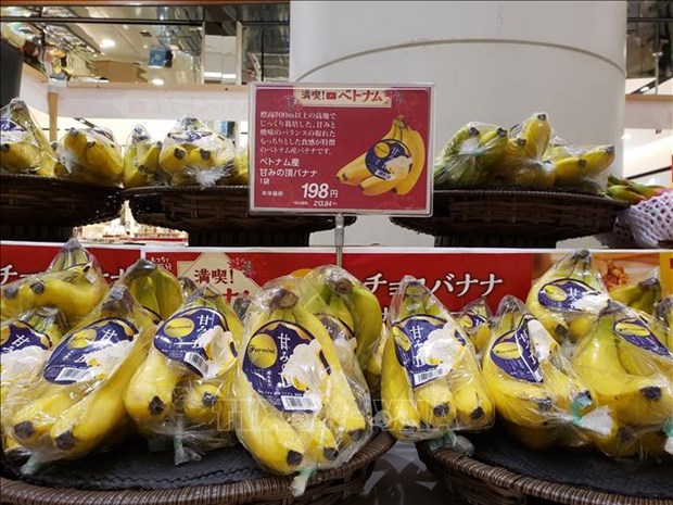 越南香蕉与日本市场同类产品相比具有竞争力 hinh anh 1