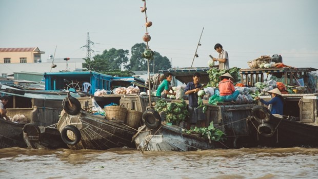 湄公河垃圾减量项目正式启动 hinh anh 2