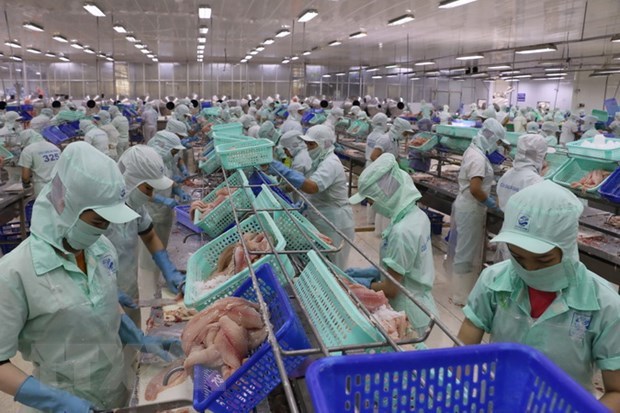越南再添6家查鱼加工企业获准向美国出口查鱼产品 hinh anh 1