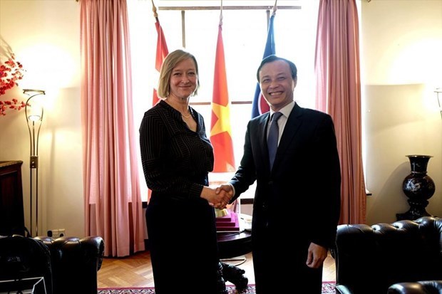越南与丹麦促进人民交流 巩固双边关系 hinh anh 1