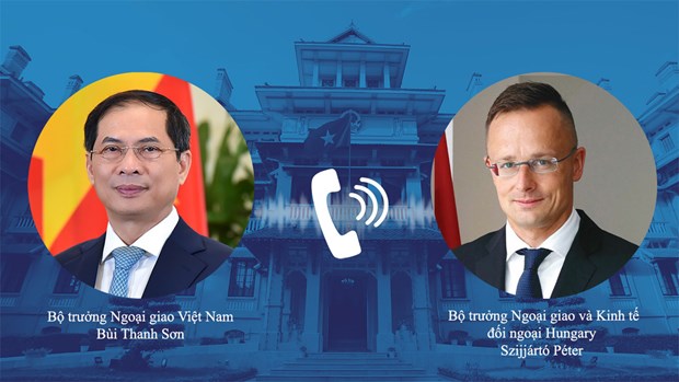 越南外交部长裴青山与欧委会副主席博雷利和匈牙利外长西雅尔多通电话 hinh anh 2