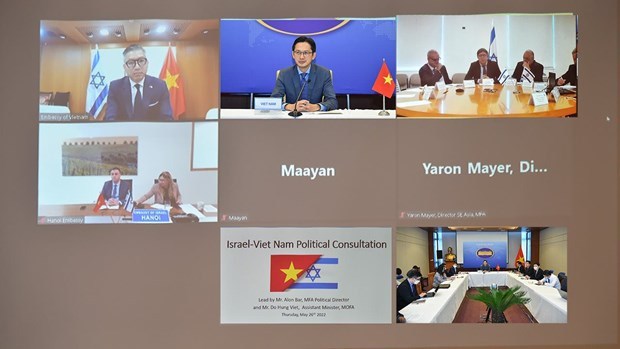 越南与以色列外交部第四次政治磋商以在线视频方式举行 hinh anh 1