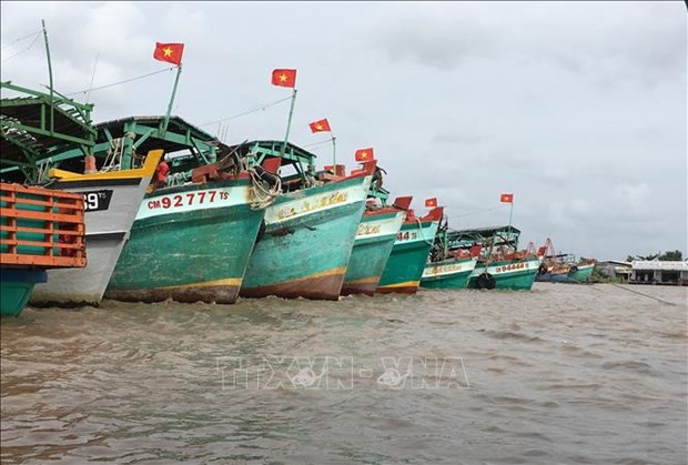 解除IUU“黄牌”警告：越南金瓯省完成渔船巡航监控设备安装工作 hinh anh 1