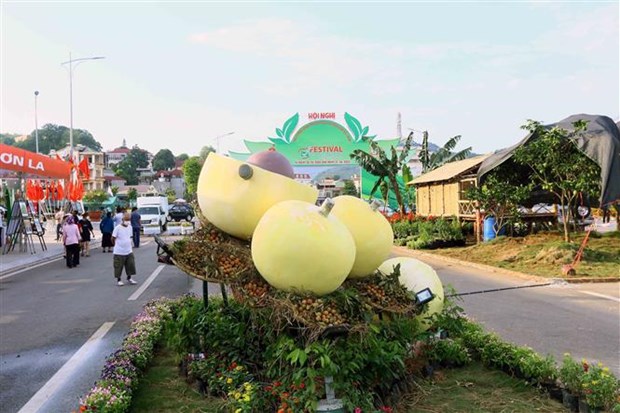 越南政府总理范明政出席2022年越南OCOP产品和水果节开幕式 hinh anh 1