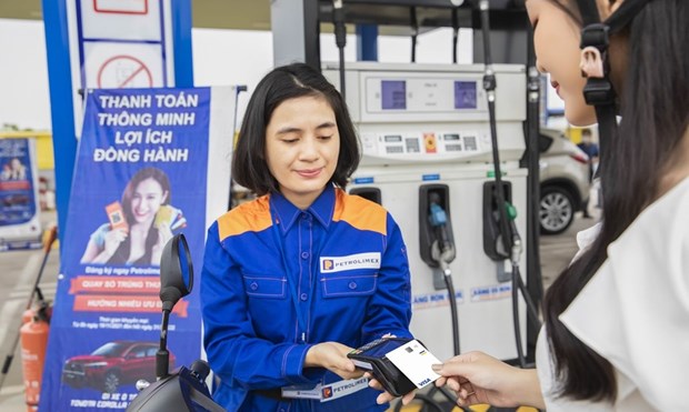 越南国家石油集团推出Visa卡自助支付方式 hinh anh 1
