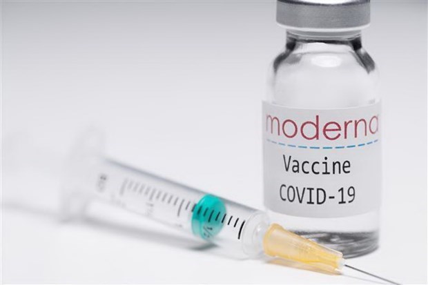 菲律宾食品和药品监督管理局批准使用Moderna疫苗为6-11岁儿童接种 hinh anh 1