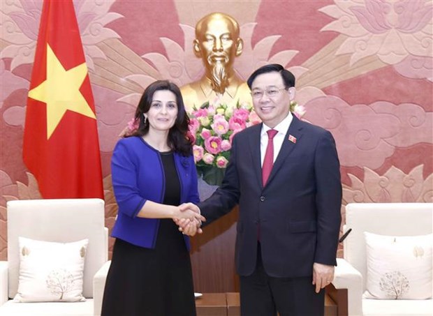 越南国会主席王廷惠分别会见保加利亚和匈牙利驻越南大使 hinh anh 1