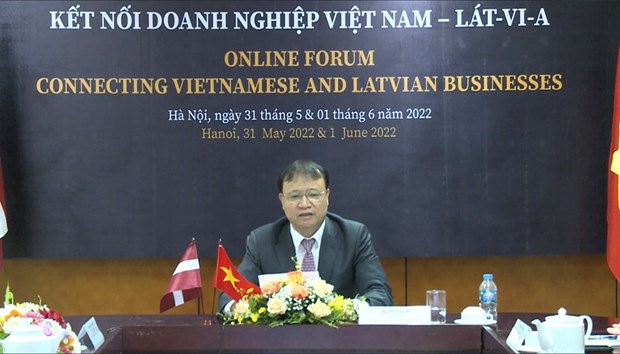 加强越南对拉脱维亚市场的出口力度 hinh anh 1