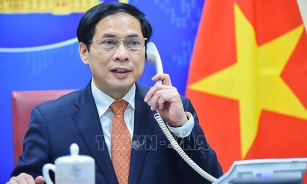 越南外交部长裴青山与奥地利欧洲和国际事务部长沙伦贝格通电话 hinh anh 1