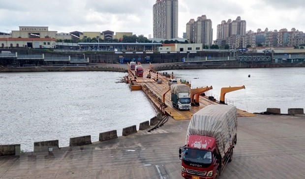 广宁省芒街国际口岸自重启以来货物吞吐量累计超过45300吨 hinh anh 1