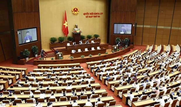 越南第十五届国会第三次会议：对农业与农村发展领域进行质询 hinh anh 1
