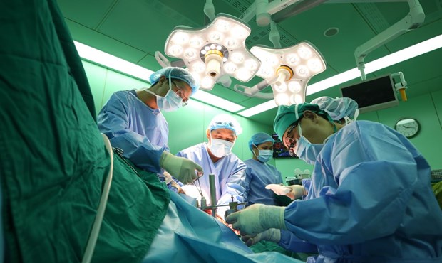 23家医院具备实施器官摘取移植技术资质 hinh anh 1