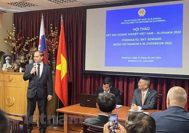 积极推进越南与斯洛伐克企业的对接 加强双边贸易关系 hinh anh 1