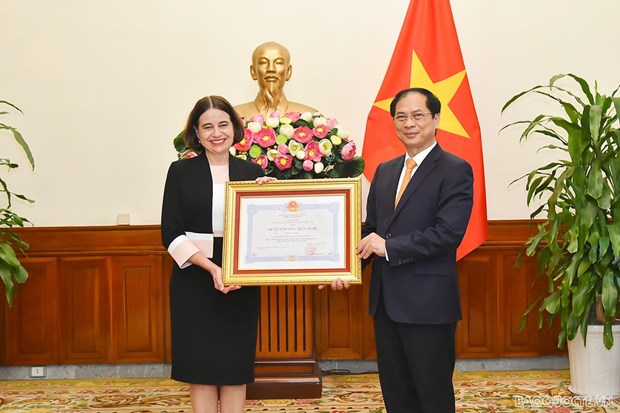 越南外长裴青山向澳大利亚驻越南大使授予友谊勋章 hinh anh 1