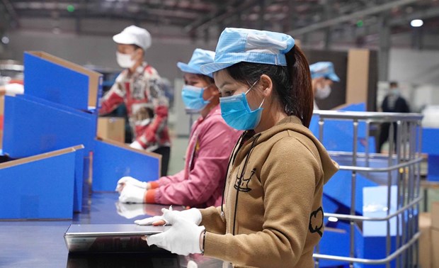 越南超过5000万名劳动者将拥有电子劳动手册 hinh anh 1