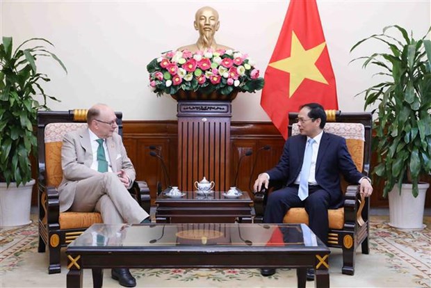 越南重视并希望继续发展与瑞典的传统友谊和多方面合作 hinh anh 1
