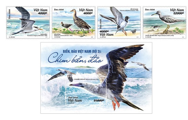 “越南海洋与岛屿：海岛鸟类”邮票正式发行 hinh anh 1