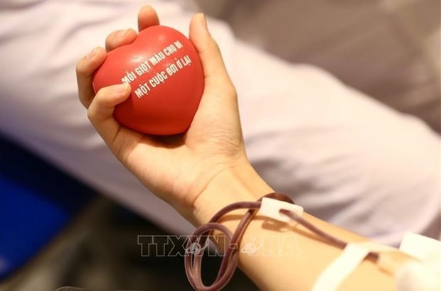 越南即将举行多项活动表彰无偿献血者 hinh anh 1