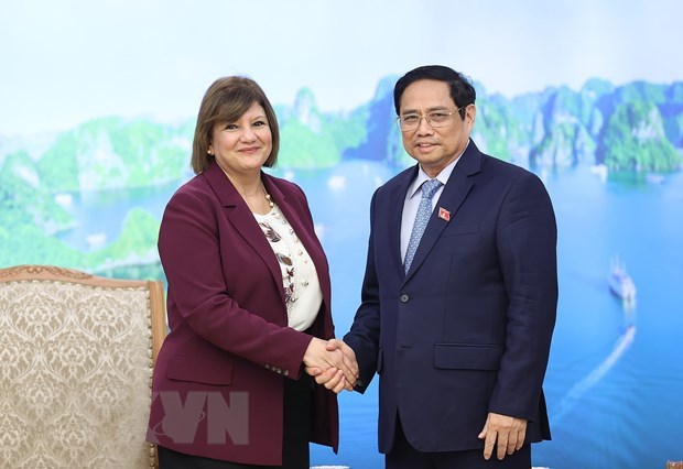 越南政府总理范明政会见埃及驻越南大使和蒙古国驻越南大使 hinh anh 1