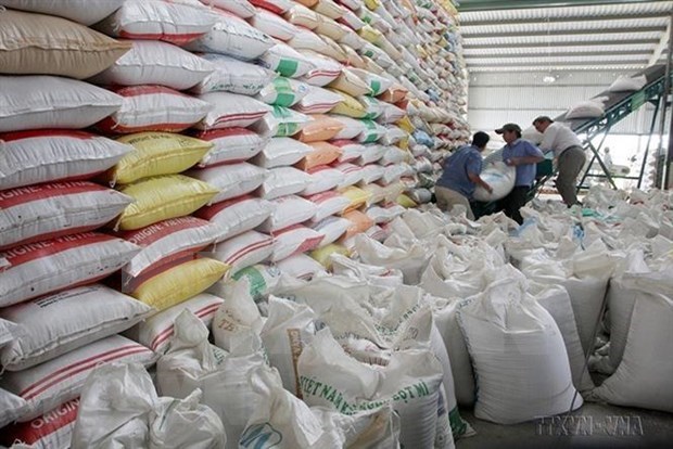 越南加大对非洲市场的食品出口力度 hinh anh 1