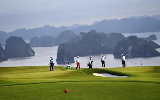 广宁省7月份即将迎来首个国际高尔夫旅游团 hinh anh 1