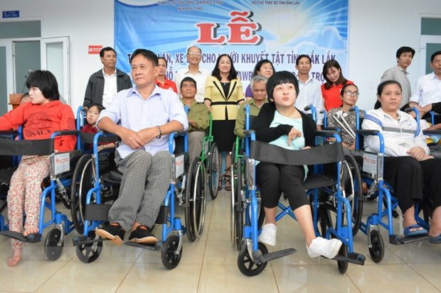 越南承诺致力于促进残疾人权利 hinh anh 1