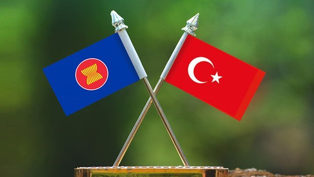 东盟与土耳其加强合作 hinh anh 1