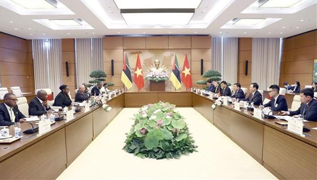 越南国会主席王廷惠与莫桑比克议会议长举行会谈 hinh anh 1