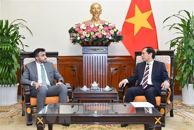 越南外长裴青山会见阿联酋外交与国际合作部部长助理阿卜杜纳赛尔·沙利 hinh anh 1