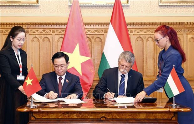 越南国会主席王廷惠同匈牙利国会主席克韦尔·拉斯洛举行会谈 hinh anh 3