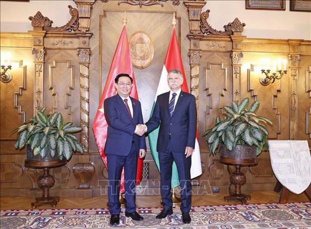 越南国会主席王廷惠同匈牙利国会主席克韦尔·拉斯洛举行会谈 hinh anh 1