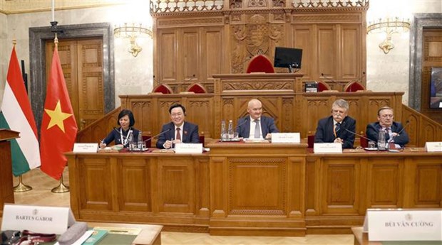越南国会主席王廷惠与匈牙利议会议长拉斯洛主持召开第四次立法座谈会 hinh anh 1