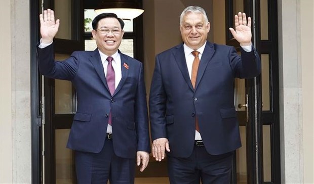 越南国会主席王廷惠会见匈牙利总理欧尔班 hinh anh 1