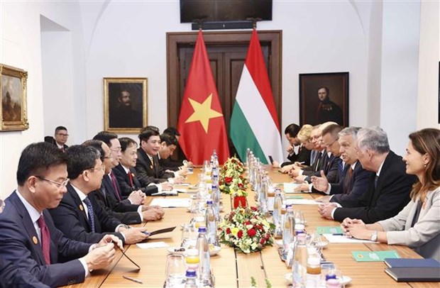 越南国会主席王廷惠会见匈牙利总理欧尔班 hinh anh 2
