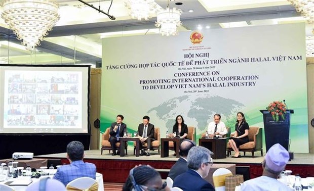 加强国际合作 发展越南清真产业 hinh anh 2