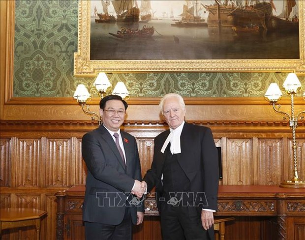 越南国会主席王廷惠与英国上议院议长约翰·麦克福尔举行会谈 hinh anh 1
