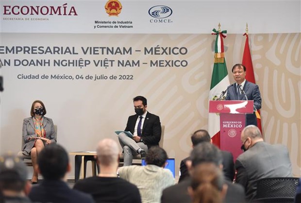 越南与墨西哥促进经贸与投资合作 hinh anh 1