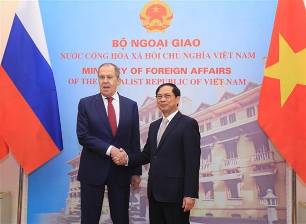越南外交部部长与俄罗斯联邦外交部长举行会谈 hinh anh 2