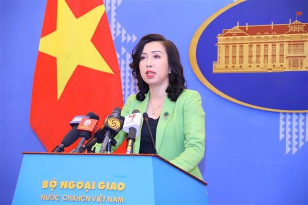 外交部例行记者会：增强越南公民对所在国的法律和风俗习惯的认识 hinh anh 1