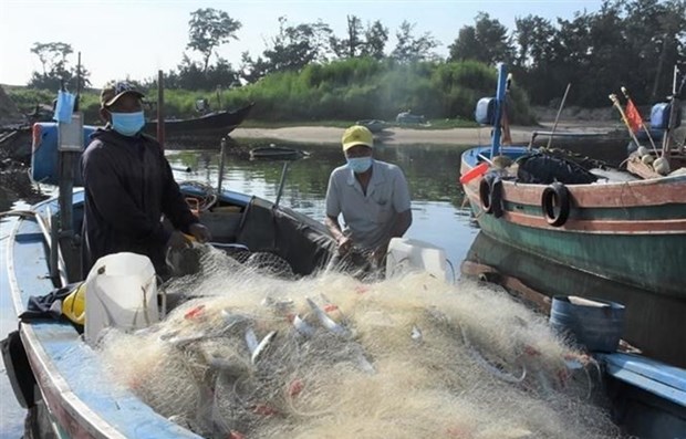 越南工贸部提议向渔民提供油价补助金 hinh anh 1