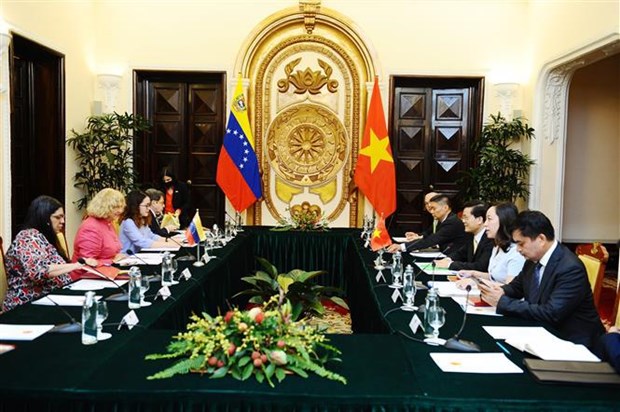 促进越南与委内瑞拉之间的贸易与投资关系 hinh anh 1