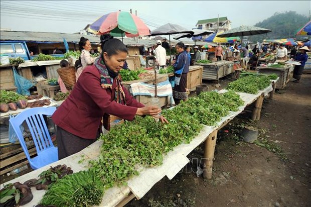 老挝上调最低工资标准 帮助劳动者应对通货膨胀 hinh anh 1