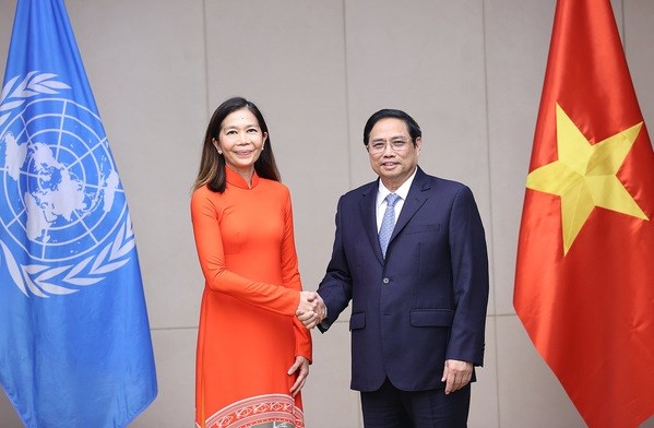 政府总理范明政会见联合国新任驻越南协调员 hinh anh 1